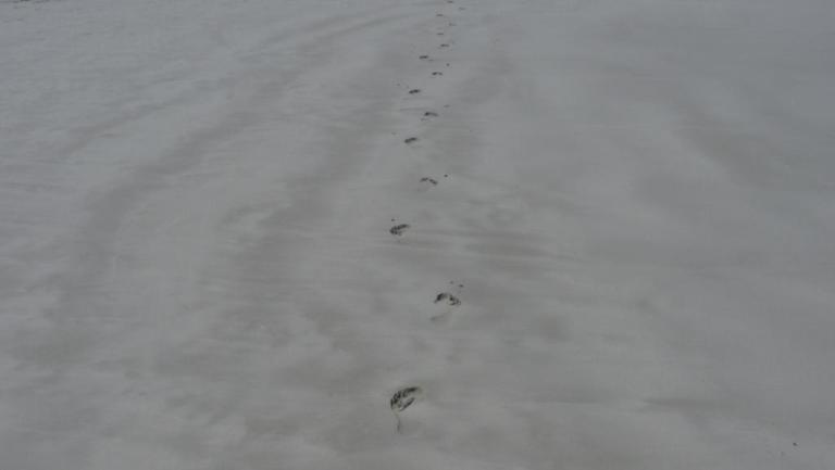Deine Spuren im Sand ...